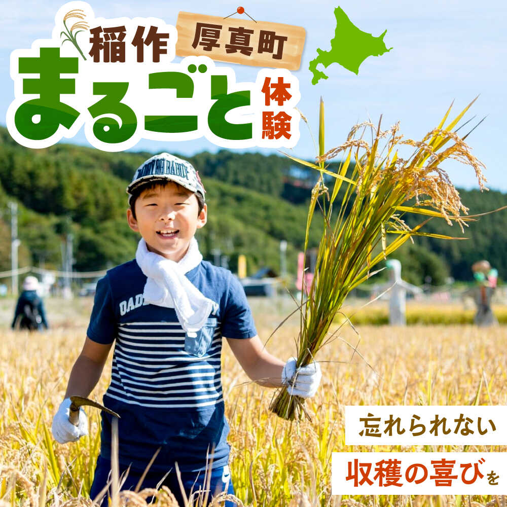 【ふるさと納税】田んぼの田植え・稲刈り体験（田んぼオーナー）1口 《厚真町》 【一般社団法人厚真町観光協会】[AXAT006]