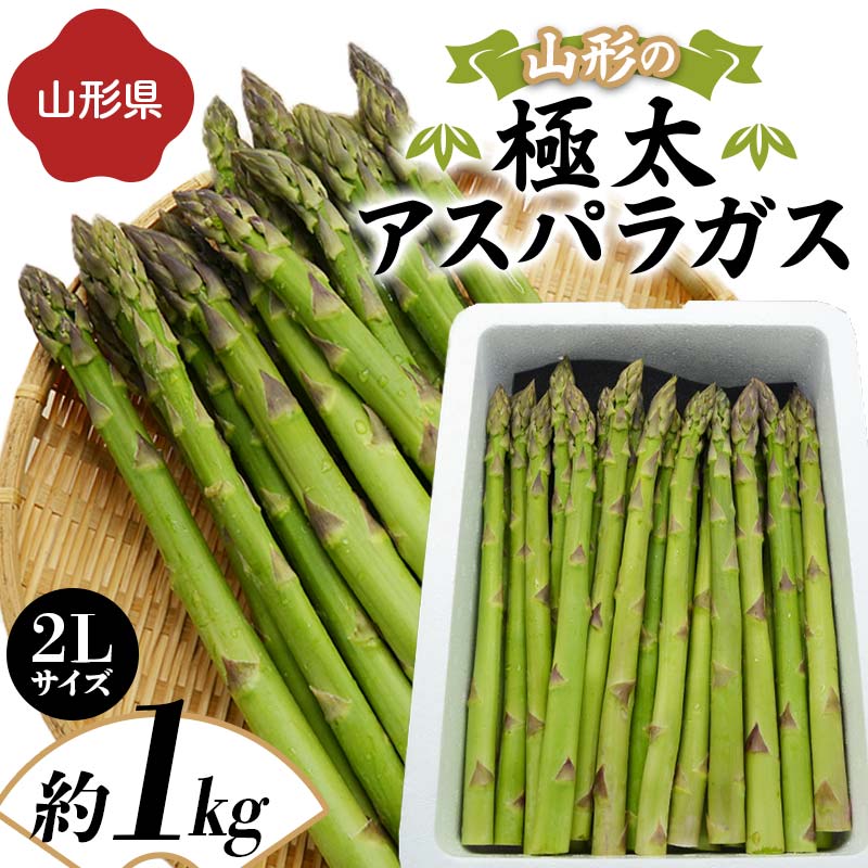 【ふるさと納税】 《先行予約 2026年度発送》山形の極太アスパラガス 約1kg（2Lサイズ） FSY-1264