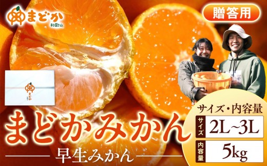 
                  ［先行予約］［贈答用］秋採れみかん（早生みかん）2L〜3Lサイズ混合 5kg＋300g（傷み補償分）［2025年11月上旬より発送］
                