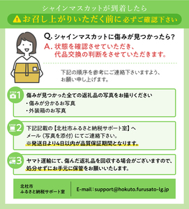 【2024年先行予約】八ヶ岳南麓の天然水で育てたシャインマスカット 1.0㎏以上(2~3房程度)　※特選　【 山梨県産 シャインマスカット 北杜市産 シャインマスカット 先行予約 シャインマスカット 