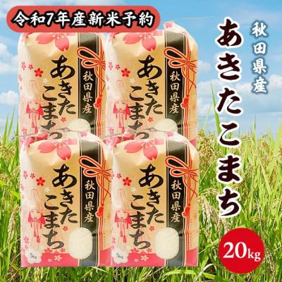 ふるさと納税 潟上市 【新米予約】令和7年産 秋田県産あきたこまち 白米 20kg(5kg×4袋)　9月下旬より順次発送