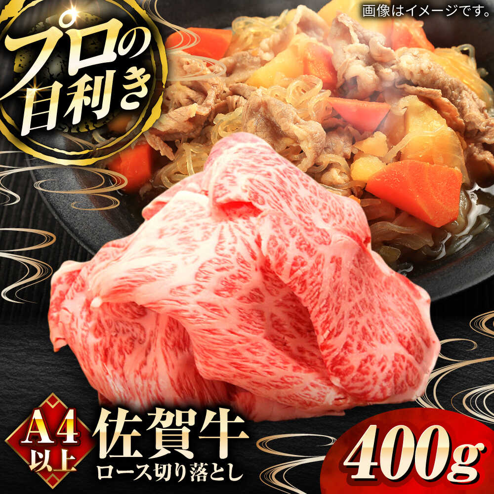 【ふるさと納税】佐賀牛ロース切り落とし400g / ブランド牛 黒毛和牛 牛肉 / 佐賀県 / 田中畜産牛肉店 [41ARAA007]