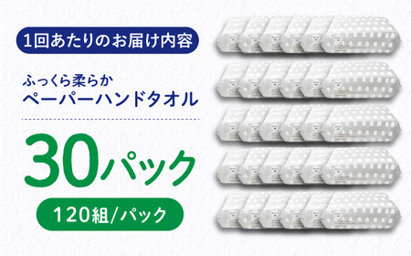 【6回定期便】隔月発送 抗ウイルス 抗菌成分 (VB) 配合ふっくら柔らかペーパーハンドタオル エンボス仕上げ 120組 (240枚) ×30パック 【河野製紙株式会社】[ATAJ017]