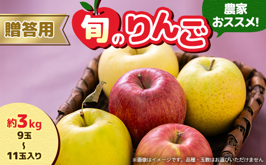 贈答用【2025年8月～9月発送】農家おススメ!旬のりんご約3kg(9玉～11玉入り)(冷蔵)【配送不可地域：離島】