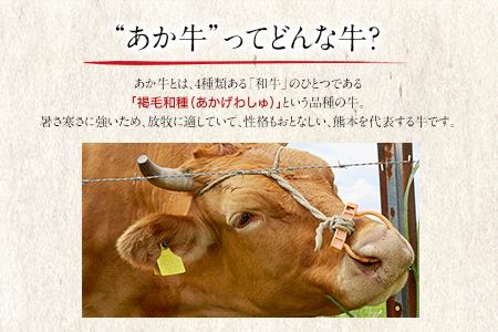 肥後のあか牛 焼き肉用 1000g 株式会社KAM Brewing《90日以内に出荷予定(土日祝除く)》 熊本県産 熊本県大津町