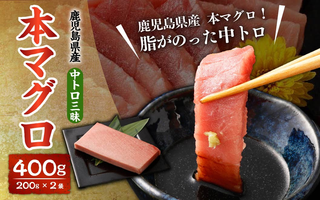 
BS-904 鹿児島県産 本マグロ 中トロ三昧 合計400g(200g×2袋)
