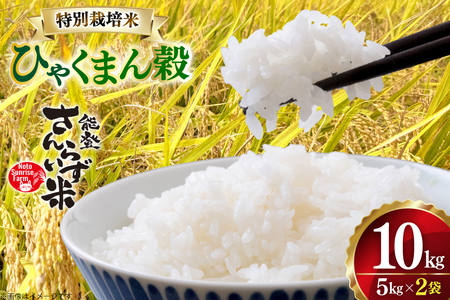 米 令和7年産 特別栽培米 ひゃくまん穀 10kg 白米 [合同会社NotoSunriseFarm 石川県 宝達志水町 38601321] 