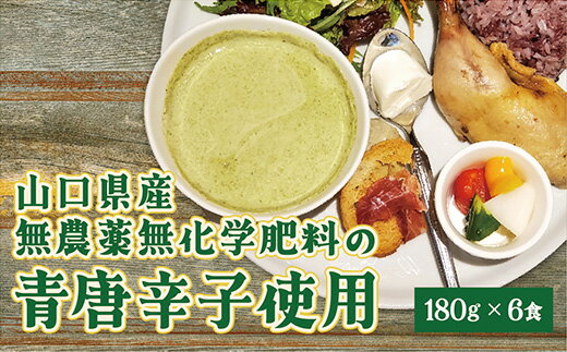 D129【ふるさと納税】クリーミーグリーンカレー6食セット