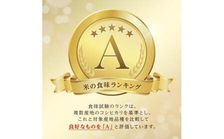 令和7年産新米 ふっくりんこ10kg お米 米 新米 10kg 北海道 北海道産 ふっくりんこ F21W-544