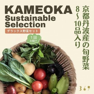 京都丹波産 旬の野菜セットDX  野菜