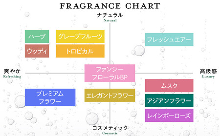 バーデンス　シャンプートリートメント（ハーブの香り）