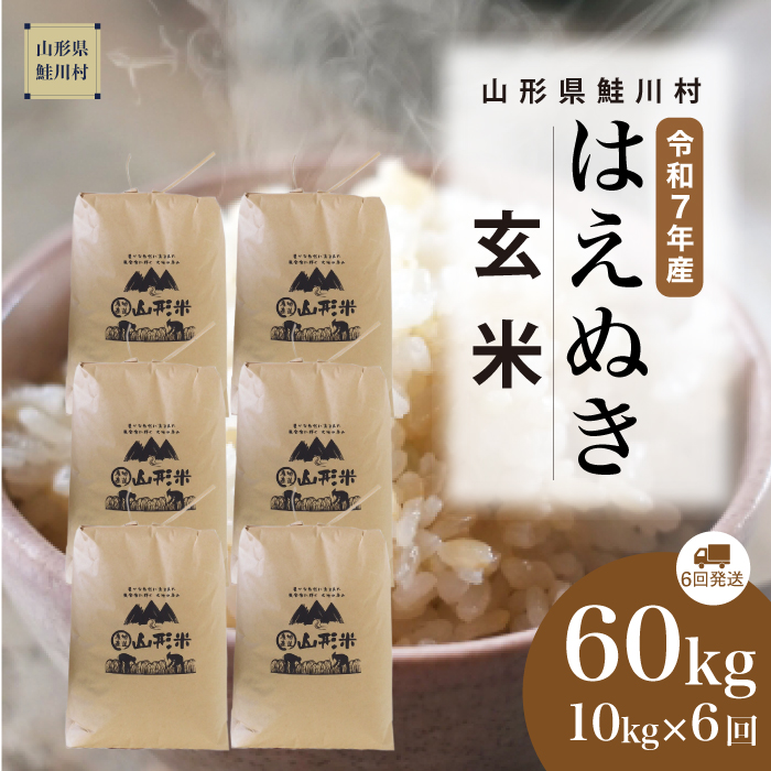 ＜令和7年産米＞ はえぬき 【玄米】60kg定期便(10kg×6回)　《配送時期指定可》