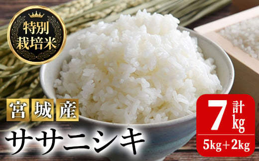 
＜令和5年産＞特別栽培米 ササニシキ 7kg ささにしき お米 おこめ 米 コメ 白米 ご飯 ごはん おにぎり お弁当 有機質肥料【JA新みやぎ】ta218
