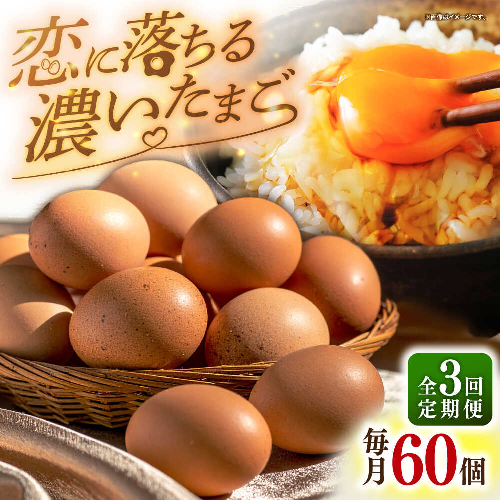 【ふるさと納税】【全3回定期便】特選 素直な恋たまご 60個 《壱岐市》【しまのたまご屋さん】 [JAP003] たまご 卵 玉子 鶏卵 国産鶏 もみじ 国産 プレゼント ギフト 39000 39000円 冷蔵配送