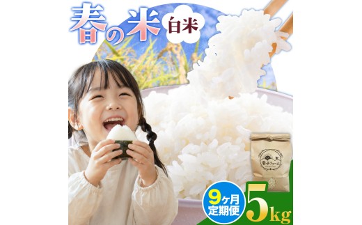 米 コシヒカリ 春の米 白米 5kg × 9ヶ月 定期便 春子ファーム《お申込み翌月から出荷》千葉県 東庄町 千葉県産 東庄産 白米 精米