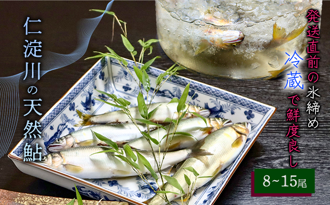 【6月から9月の発送】仁淀川の天然鮎（８匹～15匹）★冷蔵