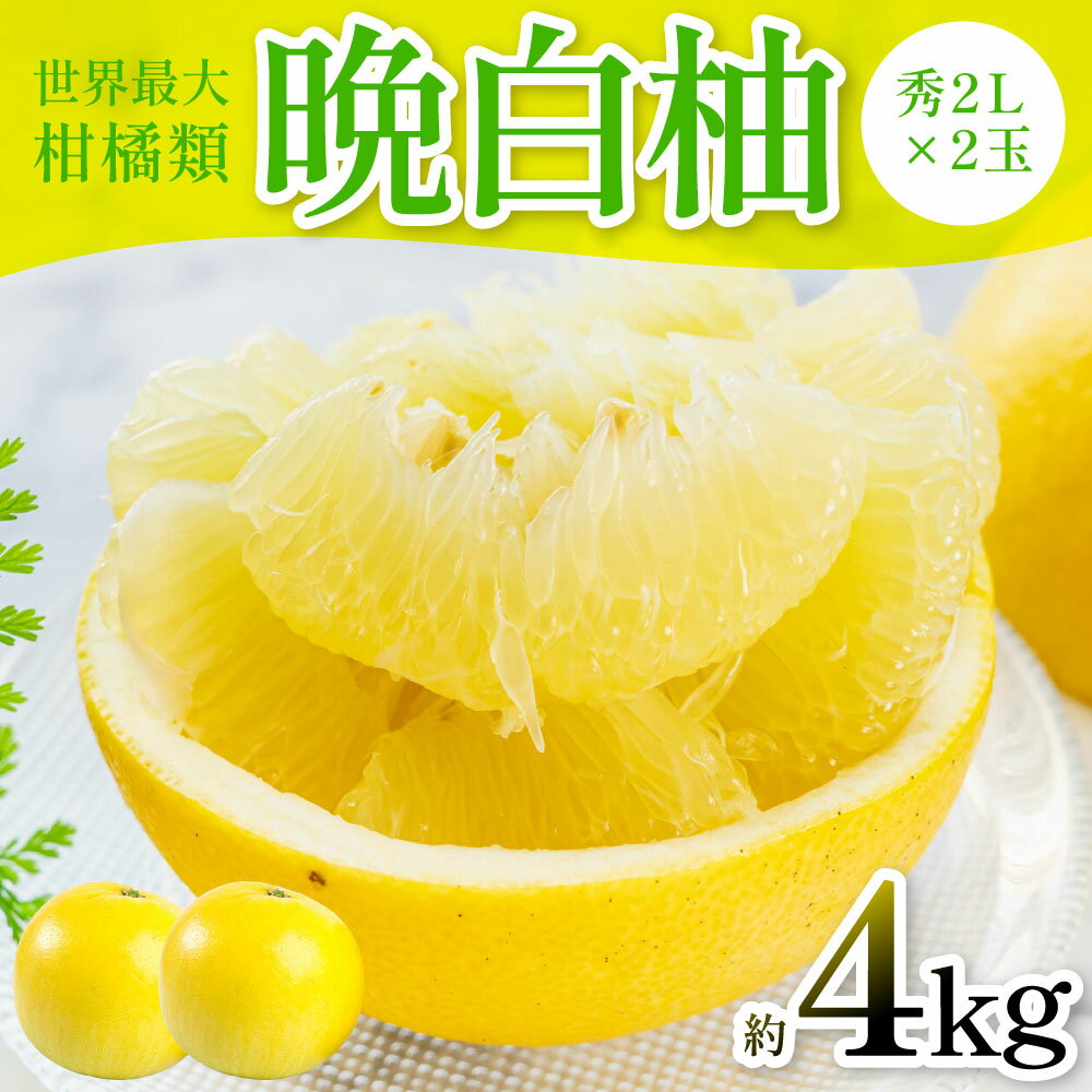 【ふるさと納税】【先行予約】 晩白柚（秀2L×2玉）約4kg 柑橘 果物 フルーツ 熊本県産 ばんぺいゆ フルーツ 柑橘 特産品 送料無料 【2025年12月上旬より順次発送】