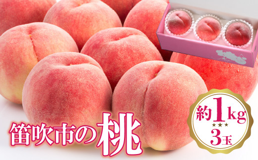 【2026年発送★先行予約】桃 3玉入り(約1㎏) 222-009-26y　| もも 桃 山梨 フルーツ
