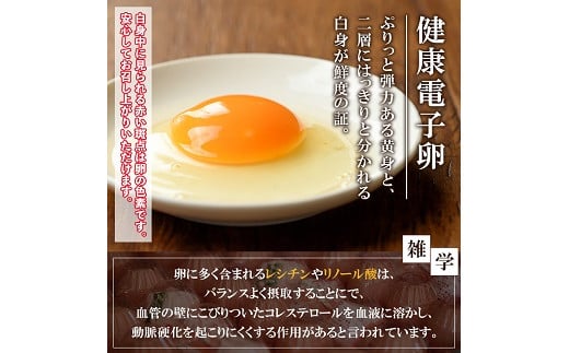 鹿児島県産！健康電子卵(計80個・10個入り×8P、M~Lサイズ)電子イオンを与えた水と飼料で体質改善された親鶏から生まれた新鮮なタマゴ！小分けパック入り【峯元養鶏】【A-1052H】
