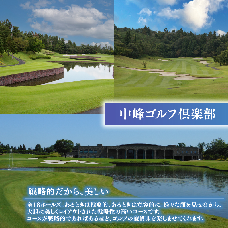 ゴルフ場 新発田市 利用券 3,000円分 (1,000円×3枚) 感謝券 ゴルフ チケット 新潟 市内 利用 可 ゴルフ場利用券 プレー券 施設利用券 ごるふ golf 北陸 温泉 旅行 旅行券 宿