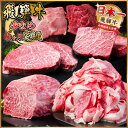 【ふるさと納税】【毎月定期便】飛騨牛 少なめ定期便 計2.5kg【冷蔵便】全6回【配送不可地域：離島】【4055503】