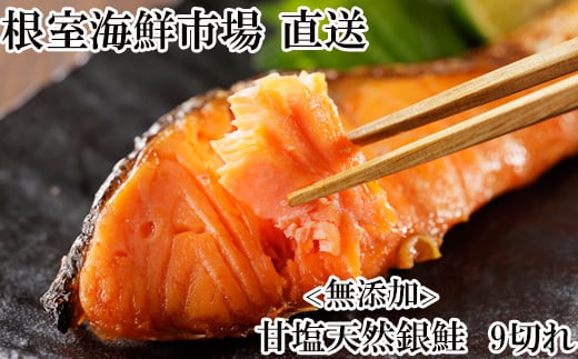 G-28075 無添加天然銀鮭切身9切