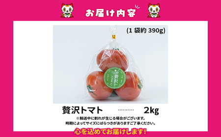 フルーツトマト　贅沢トマト2kg　よこた農園　大玉