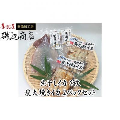 ふるさと納税 鰺ヶ沢町 生干しイカ 炭火焼イカ 詰め合わせ セット [53841090]