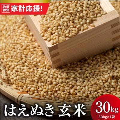 ふるさと納税 米沢市 【令和7年産】 はえぬき 玄米 30kg ( 30kg × 1袋 ) 2025年産 米沢産