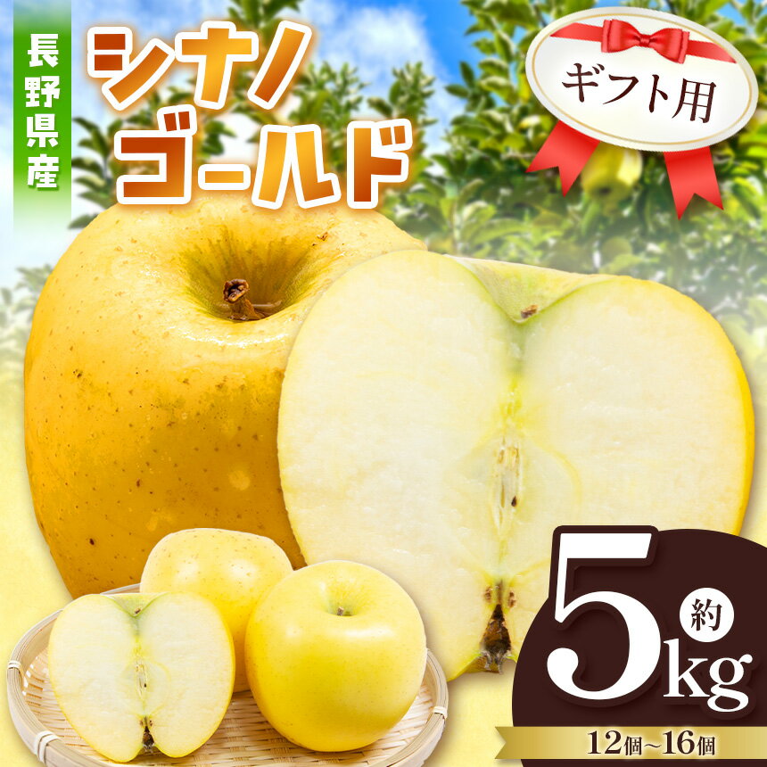 【ふるさと納税】【日持抜群！バランス型】ギフト用 シナノゴールド 5kg | ふるさと納税 果物 くだもの フルーツ シナノゴールド リンゴ りんご 林檎 信州産 長野県 松本市 ギフト用 家庭用