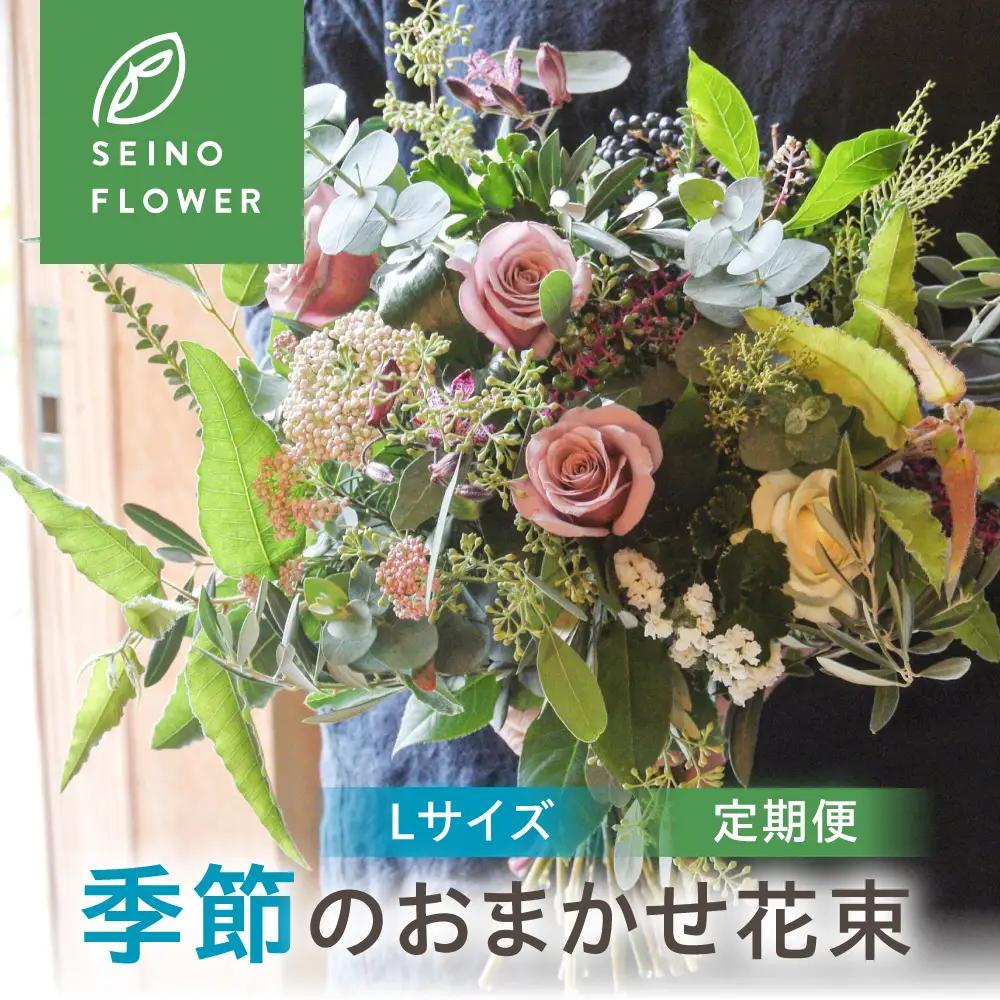季節のお花 西濃フラワー 定期便 12回　 Lサイズ