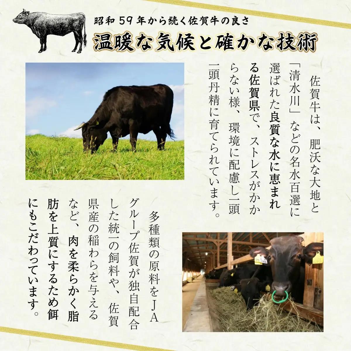 【佐賀牛】200g×3枚 サーロインステーキ D-657
