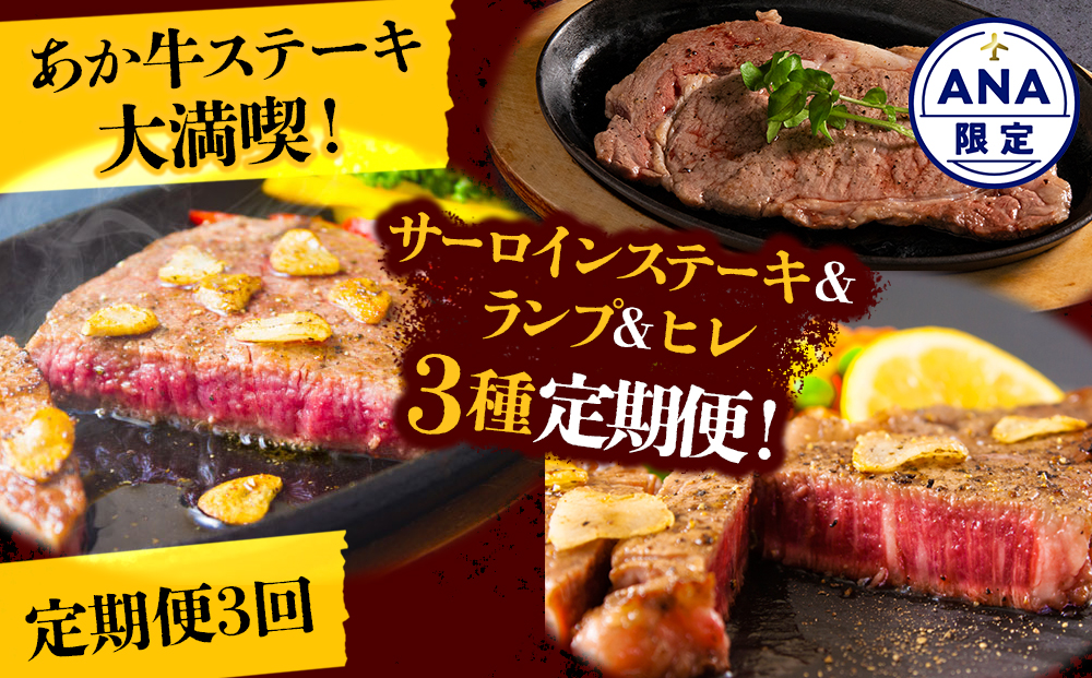 【定期便 全3回】【ANA限定】あか牛 ステーキ 定期便 毎月違う部位をお届け！（ヒレステーキ ランプステーキ サーロイン） ANAオリジナル ANA限定 ブランド 冷凍 牛肉 精肉 希少部位 国産 人気 豪華 贅沢 食べ比べ ギフト 贈答用 おすすめ お中元 お歳暮 クリスマス 熊本県 阿蘇市