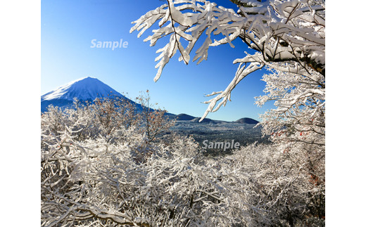 
富士山フォトパネル（雪景色） NSF005
