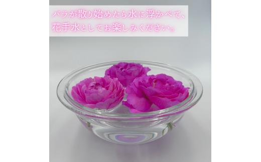バラの花束 グランドブーケ 30本 バラ 薔薇 ローズ 母の日 結婚式 卒業式 花束 観賞用 ギフト プレゼント 贈り物 贈答用 自分用 誕生日 植物 花 フラワー 癒し フラワーバレンタイン はな 