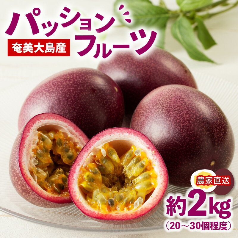 【ふるさと納税】【2026年先行予約】 奄美大島産 パッションフルーツ 約 2kg 果物 フルーツ パッション 農家直送 夏の旬 ビタミン 葉酸 甘酸っぱい 酸味 トロピカル 南国 期間 数量 限定 あいファーム ふるさと納税 鹿児島 奄美市 おすすめ ランキング プレゼント ギフト