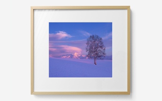 
                  前田真三 額付き写真（白木額）Lサイズ 北海道 北海道美瑛 美瑛町 写真 風景 景色 びえい 拓真館 [151-02]
                