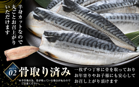  食べやすい魚！骨取り 鯖の一夜干し 約1kg（半身7切）網元漁師「福丸」厳選！ 【さかな サバ さば おかず グルメ 小分け 冷凍 個包装 惣菜 魚介類 海鮮 焼魚 バーベキュー】 [e15-a02