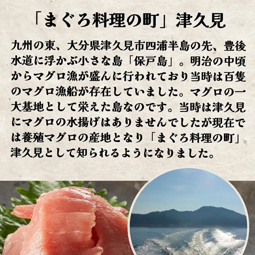 本マグロ お刺身 赤身 5人前 (800g) | 本マグロ 津久見市