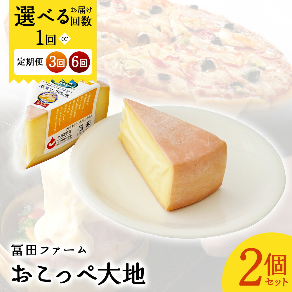 【ふるさと納税】【選べる単品 or 定期便(3回,6回)】牧場から直送『おこっぺ大地2個』