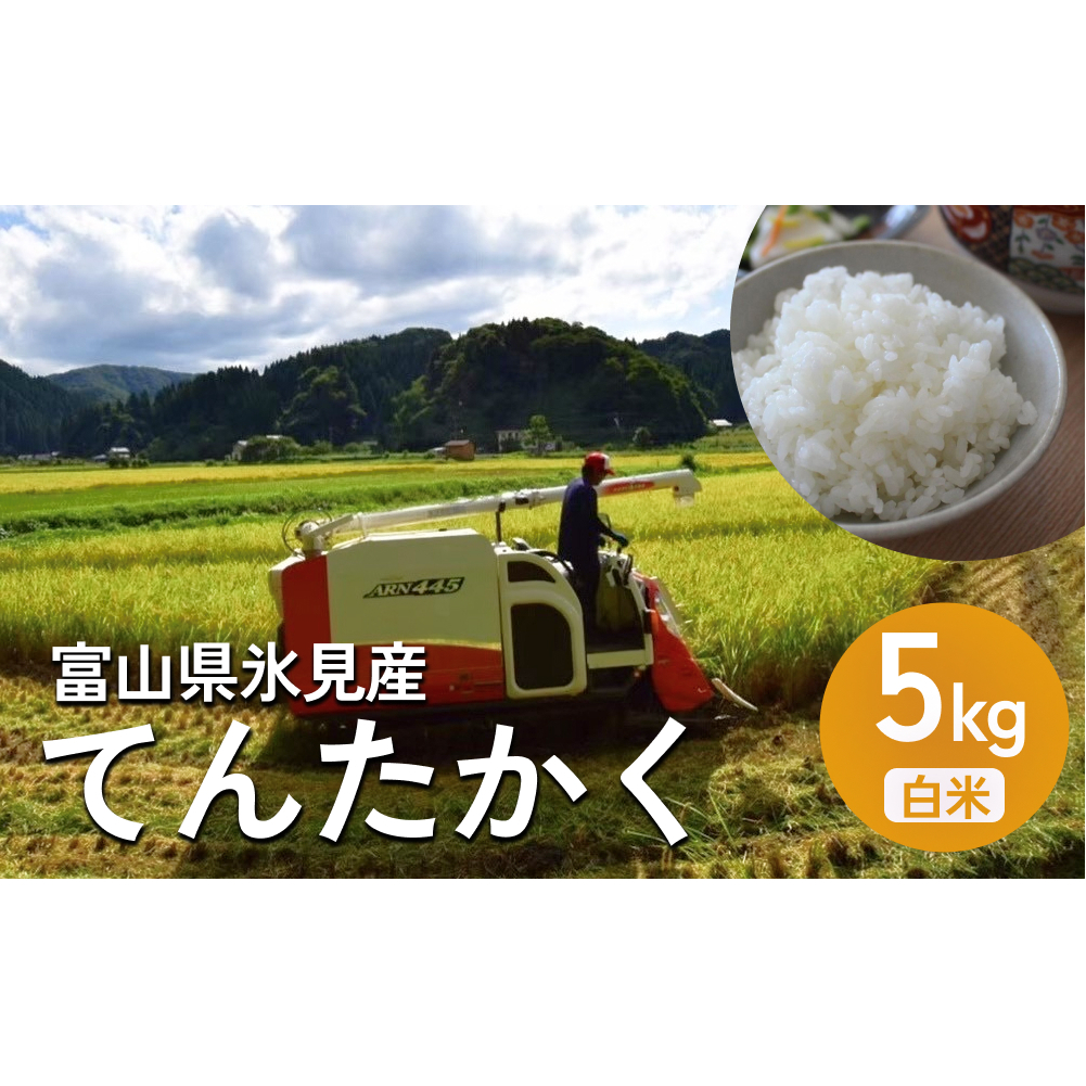 令和7年産 富山県氷見産 てんたかく白米 5kg 富山県 氷見市 米 てんたかく
