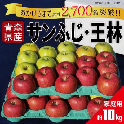 りんご サンふじ＆王林 家庭用 計10kg (各約5kg)【配送不可地域：離島・沖縄】【1331518】