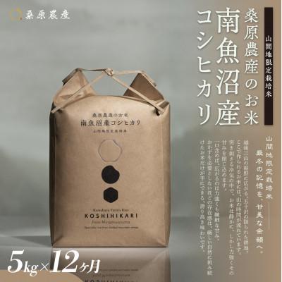 ふるさと納税 南魚沼市 【毎月定期便】桑原農産 山間地限定米 南魚沼産こしひかり5kg全12回