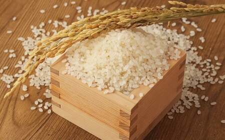 【令和7年産】無洗米 食味鑑定士厳選 夢つくし 10kg （5kg×2袋） お米 米 白米 食品 ご飯 飯 5kg 2袋
