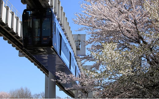 貸切列車（全線プラン）【 体験チケット 貸切列車 チケット モノレール 】[№5346-0083]