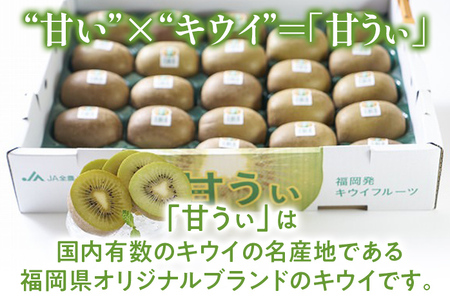 福岡県産ブランドキウイ「甘うぃ」約3kg(24-33玉)