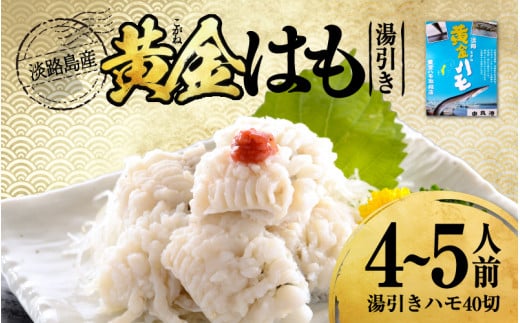 【先行予約】淡路島黄金はも湯引き 4~5人前　酢味噌・梅肉付き ※2026年5月上旬より順次発送予定 / 国産 淡路島 ハモ 鱧 湯引き 天ぷら しゃぶしゃぶ 鍋 骨切り済