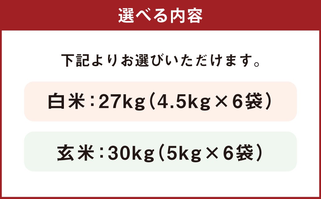 ＜選べる白米・玄米＞【令和7年産】 森のくまさん 白米27kg または 玄米30kg 【2025年11月上旬より順次発送開始】