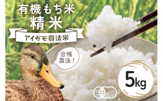 【令和7年産】有機もち米 精米5kg お米 米 白米 もち米 ご飯 ごはん 国産米 産地直送 茨城県 石岡市 B03-005