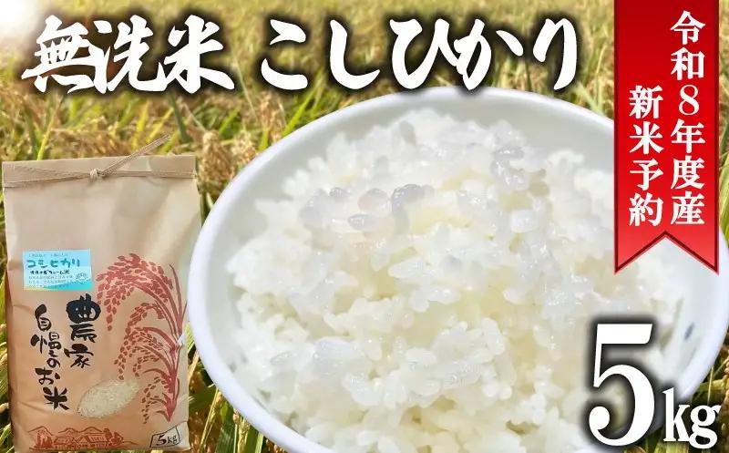 先行予約 令和8年度産 無洗米 こしひかり 5kg 【 コシヒカリ 】